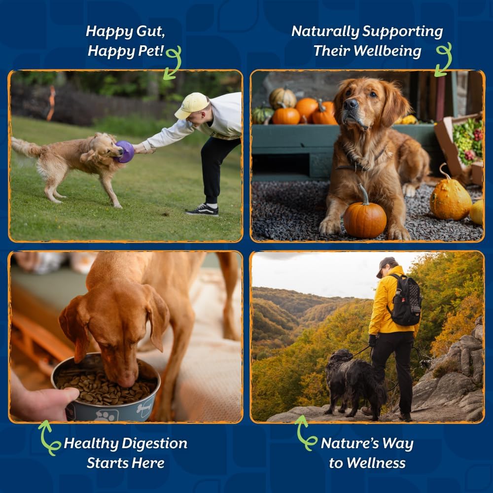 NaturVet Pure Pumpkin Powder for Dogs – 225g 100% Natural, Rich in Prebiotics High-Fibre Digestive Support for Firm Stools & Gut Health – Additive-Free