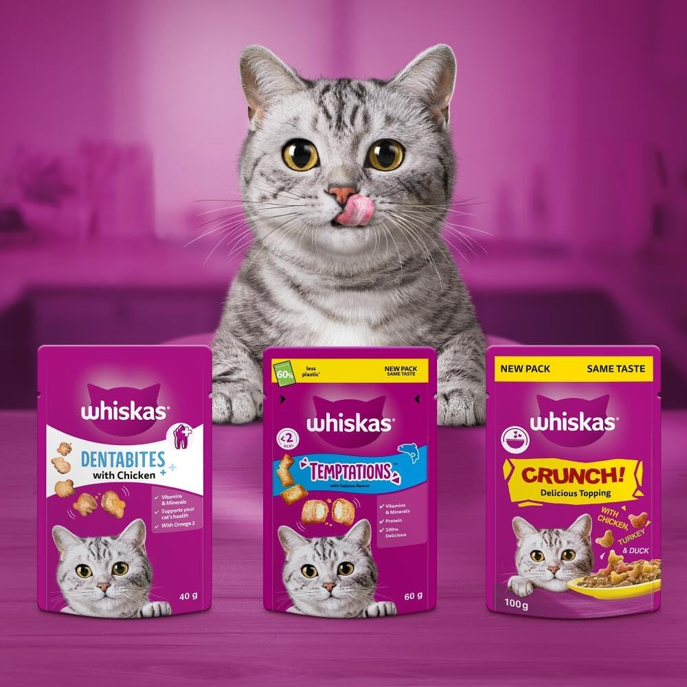 Whiskas Temptations Delicious Cat Treats with Salmon Flavour 60 g (Pack of 6)