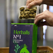 Hilton Herballs No. 2 Turmeric & Ginger All-Natural Horse Treats. Tasty Treats or Rewards for Horses and Ponies. No Additives or Fillers. Molasses-Free. 100% Natural Ingredients. 2kg Bag. Made in UK.