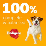 Pedigree Adult Dog Wet Food in Pouch, Mixed Selection in Jelly, 40x100g