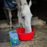 Hilton Herballs No. 2 Turmeric & Ginger All-Natural Horse Treats. Tasty Treats or Rewards for Horses and Ponies. No Additives or Fillers. Molasses-Free. 100% Natural Ingredients. 2kg Bag. Made in UK.