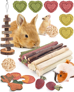 ERKOON Rabbit Treats Boredom Breaker, 34 Pcs Chew Treats for Rabbits,Rat,Chinchilla,Guinea Pig Teeth Grinding Toys Timothy Hay Sticks Apple Wood Stick Carrot Grass Cake Hanging Toy