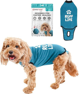 BellyGuard - After Surgery Dog Recovery Onesie, Post Spay, Neuter, Body SuitMale and Female Dogs, Comfortable Cone alternativeLarge and Small Dogs, Soft Cotton Covers Wound, Stitches, Mini, Blue