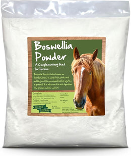 Boswellia Serrata Powder 1kg Bag | Natural Pain Relief for Horses & Ponies, Frankincense Powder Supplement, Equine Care