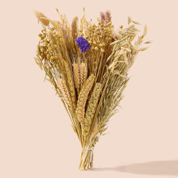 BUCATSTATE Natural Hamster Bedding - Flowers & Herbs & Sprays for Cage Habitat Decor - Treat Cereal Grain for Dwarf Syrian Gerbils, Mice, Rat, Forage, Enrichment (60PCS)