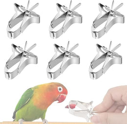 6 Pcs Bird Food Holder - Pet Parrot Feeding Clips for Fruits and Vegetables, Cuttlefish Device with Pin Clamp - Perfect for Birds, Hamsters, Cockatiels, Parrots, and Small Animals