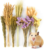 Sukh 60Pcs Nature Flower Herb Hamster Bedding - Cage Enclosure Habitat Decor Mate Small Animal Natural Ear of Grain Sprays for Syrian Dwarf Hamsters Gerbils Rabbit Other Pets