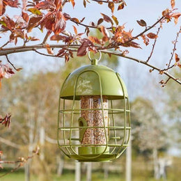 Garden Mile Caged Squirrel Proof Bird Feeders Heavy Duty Weatherproof Metal Bird Seed Feeder Hanging All Season Wildlife Seed Feeder Perfect For Garden Patio Outdoors