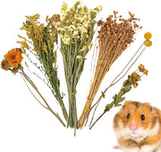 Natural Dried Flower Hamster Bedding - Flowers & plant Habitat Decor For Small Animals | Grain Sprays Set | Safe Cage Accessories | Long-Lasting Freshness For Gerbils Mice Syrian Hamsters