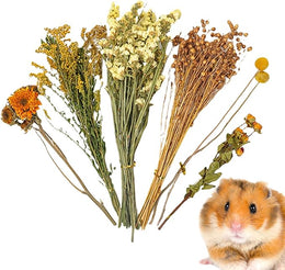Natural Dried Flower Hamster Bedding - Flowers & plant Habitat Decor For Small Animals | Grain Sprays Set | Safe Cage Accessories | Long-Lasting Freshness For Gerbils Mice Syrian Hamsters