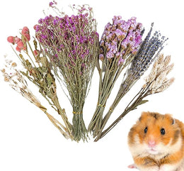Natural Dried Flower Hamster Bedding - Flowers & plant Habitat Decor For Small Animals | Grain Sprays Set | Safe Cage Accessories | Long-Lasting Freshness For Gerbils Mice Syrian Hamsters