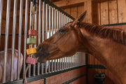 Horse Treats – IMIMA Lolly-Lick NO STRESS 2-Pack with Chamomile & Lavender – Calming Natural Horse Treats for Box, Paddock, Stall – Includes FREE Hanging Rope