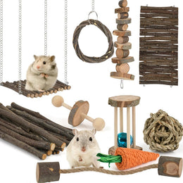 Hamster Chew Toys Set, Small Animal Teething Toys, Dwarf Hamster Toys, Guinea Pig Chew toys, Boredom Breaker Cage Accessories - Wood Sticks Ladder Bell Roller, for Rat Gerbil Guinea Pigs