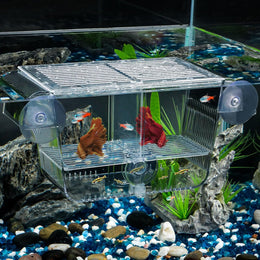 Pawfly Aquarium Fish Breeding Box with 6 Suction Cups Acrylic Hatchery for Baby Fish, Shrimp, Betta, Guppy, Platy