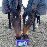 Likit Paddock 8kg | Horse Lick with Essential Vitamins & Minerals | Added Benefit of Garlic, yeast & Oils | 8kg