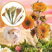 Natural Dried Flower Hamster Bedding - Flowers & plant Habitat Decor For Small Animals | Grain Sprays Set | Safe Cage Accessories | Long-Lasting Freshness For Gerbils Mice Syrian Hamsters