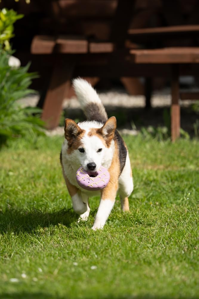 Petface Iced Ring Biscuit Latex Dog Toy (Pack of 1)