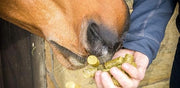 Silvermoor Treatsies Unicorn 1kg Horse Feed Treats
