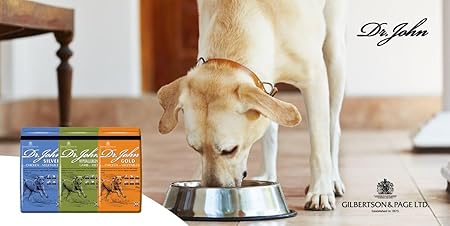 Dr John Wheat-Free Hypoallergenic Dry Dog Food - Lamb with Rice Dog Food 12.5kg - Complete Nutrition for Adult and Senior Dogs with Sensitive Digestion