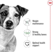 Royal Canin Mini Adult 4kg Dry Dog Food