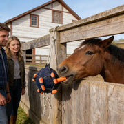 2pcs Horse Treat Ball Carrot Feeder, Slow Feeding Interactive Toy, Hanging Durable Snack Dispenser Feeder, Stress Relief Boredom Buster For Stall Paddock Barn Stable Farm