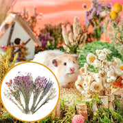 Hamster Dried Flower Bedding - Natural Ear Of Grain Flower - Hamster Bedding Flowers - Hamster Floral Bedding - Habitat Decor Sprays Set For Hamsters, Flower Bedding Habitat Decor, Hamster Accessories