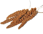 Parrot Essentials Red Millet Spray Bird Food (250g) – Healthy Parrot Food, Natural Bird Treats, Millet for Budgies, Cockatiel Treats, Conure, Lovebird, Parakeets and Budgies Food