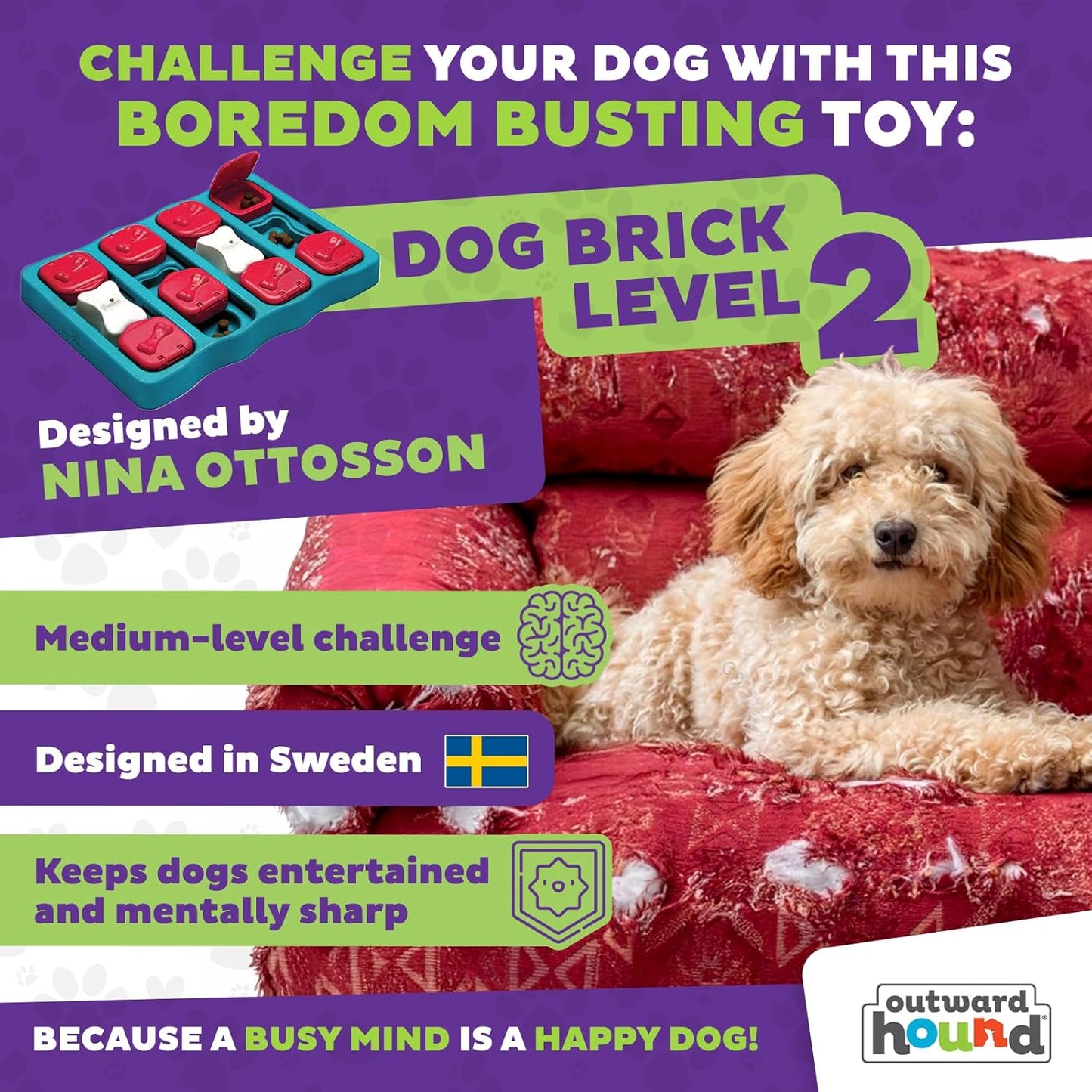 :Outward Hound Nina Ottosson Interactive Dog Toys - Medium Level 2 - Dog Puzzle Toys and Treat Dispenser for Boredom Relief, Mental Stimulation and Dog Enrichment - Reduces Anxiety, Engages Smart Dogs