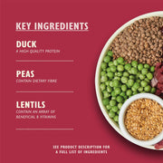 Lily's Kitchen Made with Natural Ingredients Adult Dry Dog Food Duck Salmon & Venison Grain-Free Recipe 12kg