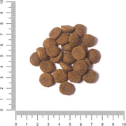 The Hunger of the Wolf Dry Dog Food - For All Breeds and Allergic Dogs, Delicate Grain Free Formula with Salmon and Potatoes, Adult - 3 kg