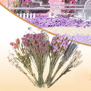 Hamster Dried Flower Bedding - Natural Ear Of Grain Flower - Hamster Bedding Flowers - Hamster Floral Bedding - Habitat Decor Sprays Set For Hamsters, Flower Bedding Habitat Decor, Hamster Accessories