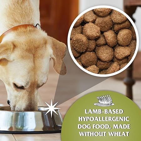 Dr John Wheat-Free Hypoallergenic Dry Dog Food - Lamb with Rice Dog Food 12.5kg - Complete Nutrition for Adult and Senior Dogs with Sensitive Digestion