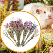 Natural Dried Flower Hamster Bedding - Flowers & plant Habitat Decor For Small Animals | Grain Sprays Set | Safe Cage Accessories | Long-Lasting Freshness For Gerbils Mice Syrian Hamsters