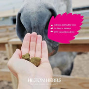 Hilton Herballs No. 2 Turmeric & Ginger All-Natural Horse Treats. Tasty Treats or Rewards for Horses and Ponies. No Additives or Fillers. Molasses-Free. 100% Natural Ingredients. 2kg Bag. Made in UK.