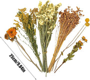 Natural Dried Flower Hamster Bedding - Flowers & plant Habitat Decor For Small Animals | Grain Sprays Set | Safe Cage Accessories | Long-Lasting Freshness For Gerbils Mice Syrian Hamsters