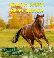 Dried Rosehips 1kg Bag | 100% Natural Feed Supplement for Horses & Ponies, Equine Care