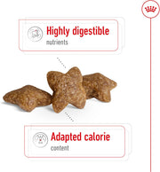 Royal Canin Mini Adult 4kg Dry Dog Food