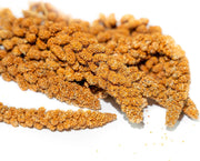 Parrot Essentials Red Millet Spray Bird Food (250g) – Healthy Parrot Food, Natural Bird Treats, Millet for Budgies, Cockatiel Treats, Conure, Lovebird, Parakeets and Budgies Food