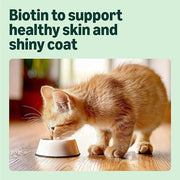 Complete Wet Food for Kittens, Mixed Selection in Jelly, 1.2kg (12 pouches of 100g)