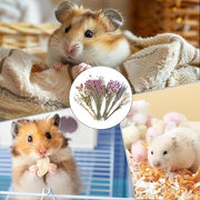 Natural Dried Flower Hamster Bedding - Flowers & plant Habitat Decor For Small Animals | Grain Sprays Set | Safe Cage Accessories | Long-Lasting Freshness For Gerbils Mice Syrian Hamsters