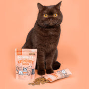 Scrumbles Chicken Krunchies, Pillow Cat Treats, 60g