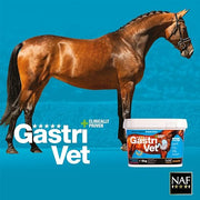 NAF Five Star GastriVet 2kg – Advanced Gastric Supplement for Horses – Supports Stomach Lining, Gut Health & pH Balance – With Prebiotics, Probiotics & Postbiotics