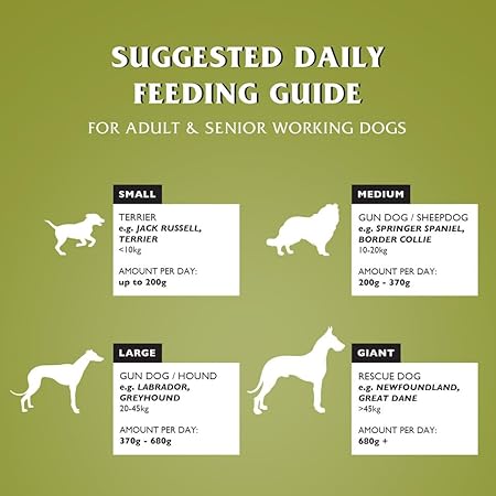 Dr John Wheat-Free Hypoallergenic Dry Dog Food - Lamb with Rice Dog Food 12.5kg - Complete Nutrition for Adult and Senior Dogs with Sensitive Digestion