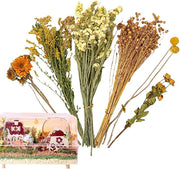 Natural Dried Flower Hamster Bedding - Flowers & plant Habitat Decor For Small Animals | Grain Sprays Set | Safe Cage Accessories | Long-Lasting Freshness For Gerbils Mice Syrian Hamsters