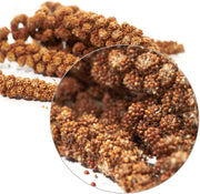 Parrot Essentials Red Millet Spray Bird Food (250g) – Healthy Parrot Food, Natural Bird Treats, Millet for Budgies, Cockatiel Treats, Conure, Lovebird, Parakeets and Budgies Food