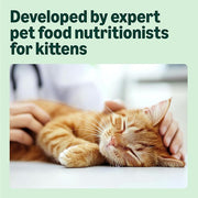 Complete Wet Food for Kittens, Mixed Selection in Jelly, 1.2kg (12 pouches of 100g)