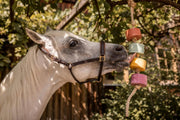 Horse Treats – IMIMA Lolly-Lick NO STRESS 2-Pack with Chamomile & Lavender – Calming Natural Horse Treats for Box, Paddock, Stall – Includes FREE Hanging Rope