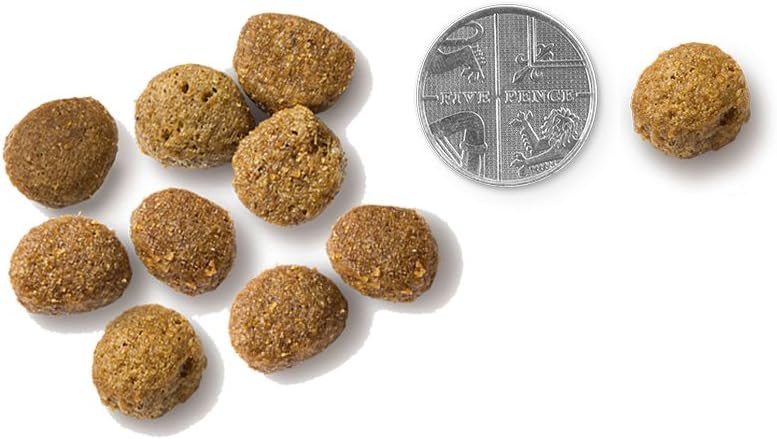 Vet's Kitchen Sensitive Care Hypoallergenic Complete Dry Adult Dog Food, Pork & Potato - Grain Free with Added Health Benefits for Sensitive Dogs (2.2kg)