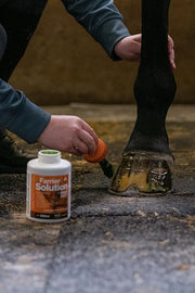 NAF Profeet Farrier Solution 500ml – Hoof Dressing for Horses – Nourishes, Protects & Strengthens Hooves – With Natural Oils & Antibacterial Agents – Easy Brush-On Application
