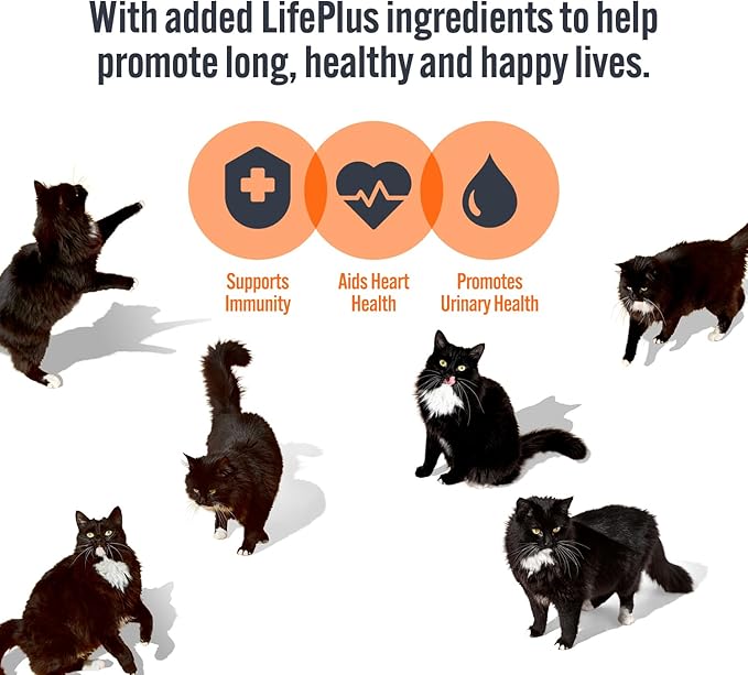 HiLife It's Only Natural Cat Pouch Multipack The Big Chicken One In Jelly 32x70g